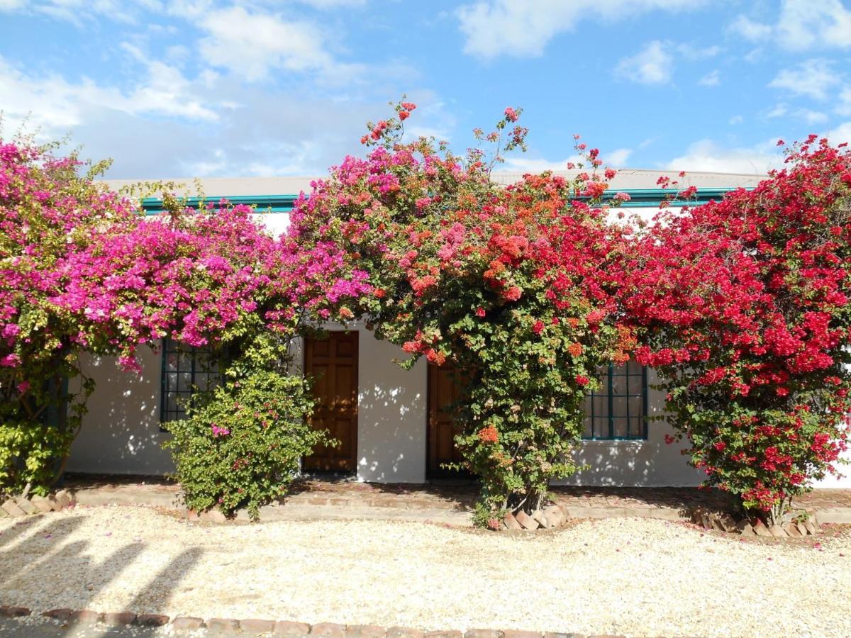Obesa Lodge Graaff-Reinet Eksteriør billede